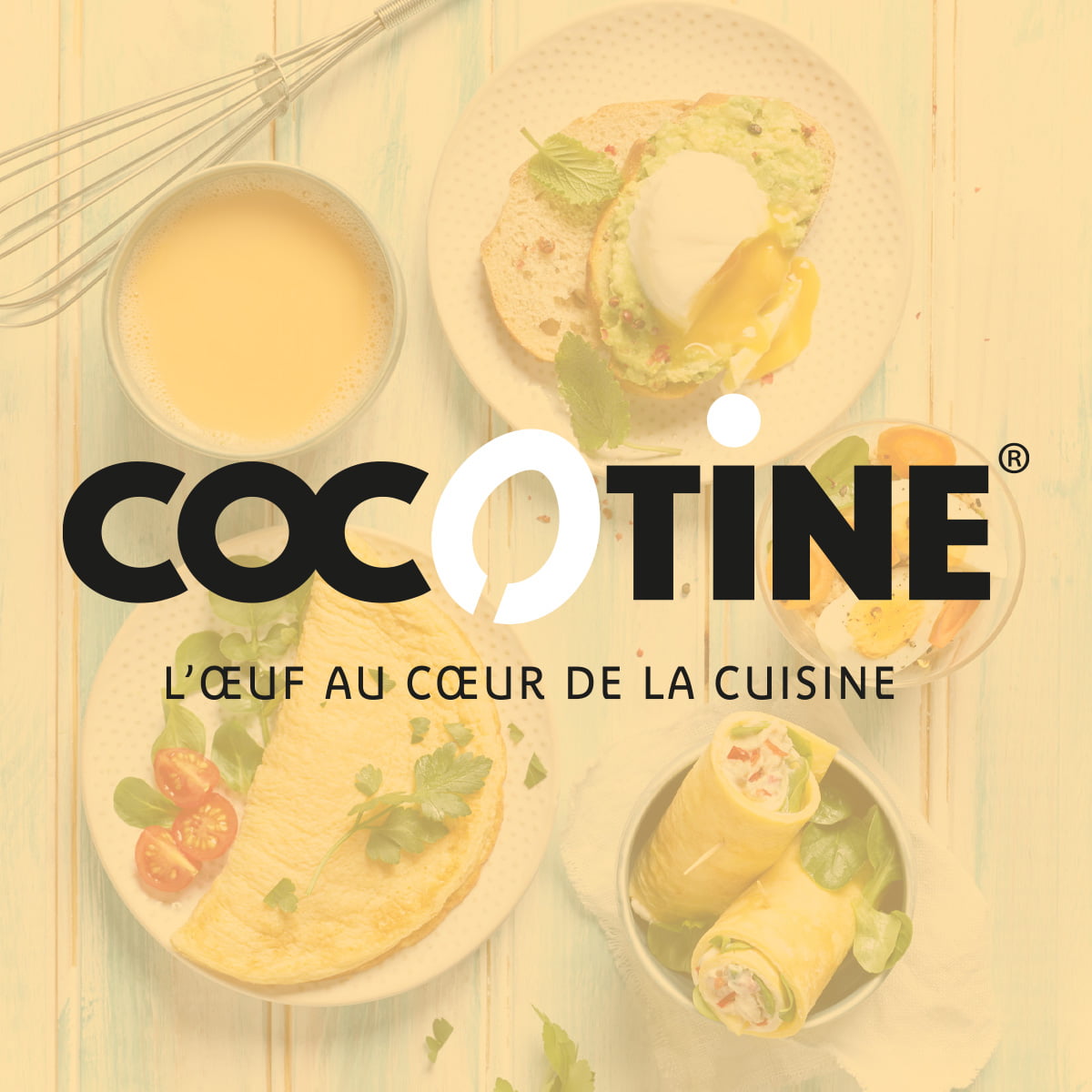 cocotine - Van Tol Convenience Food