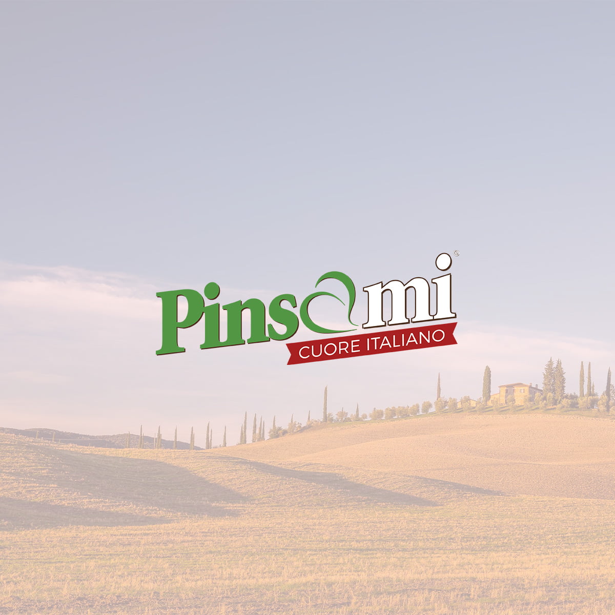 pinsami - pinsabodems - Van Tol Convenience food