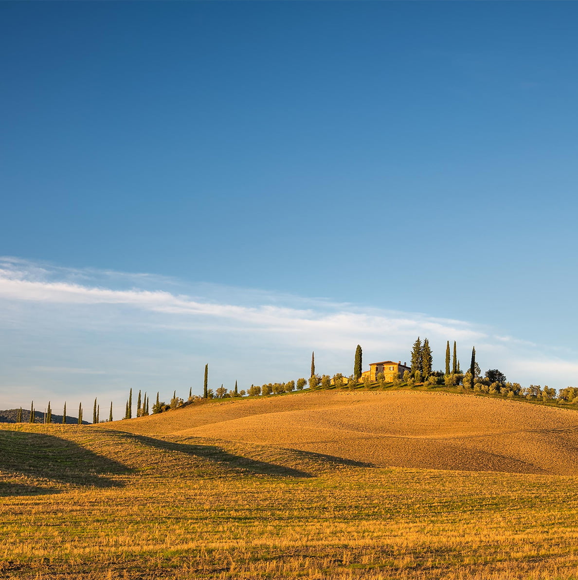 Italiaans landschap - Van Tol Convenience Food - Tolini