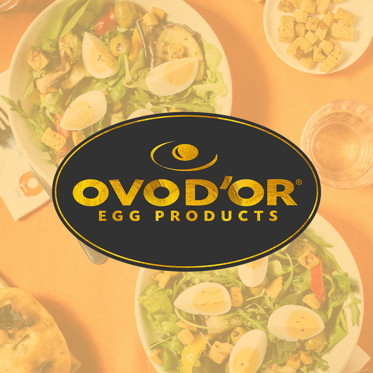 ovodor - van tol convenience food